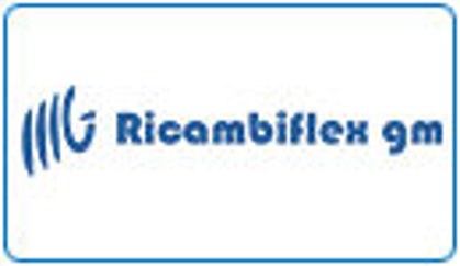 Εικόνα για τον κατασκευαστή RICAMBIFLEX